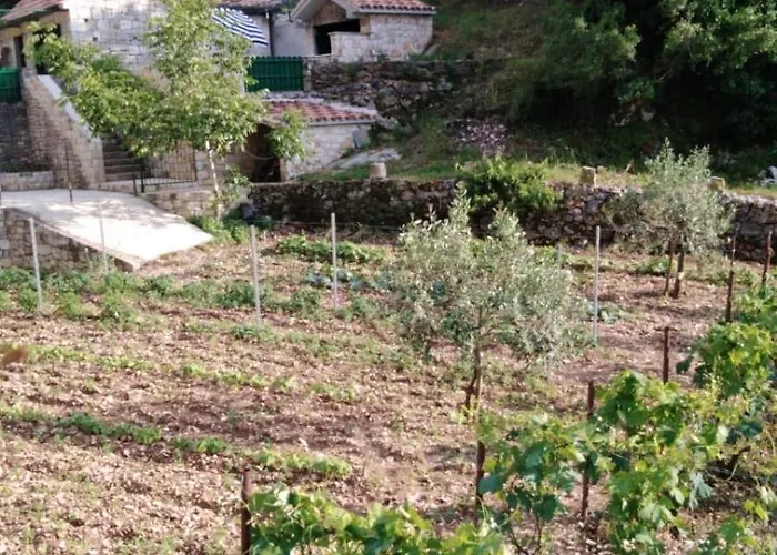 Secluded House Postira, Brac - 17571 Feriehus Postira